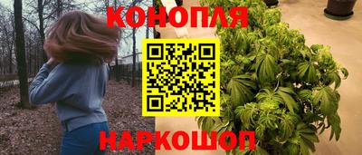 индика Будённовск