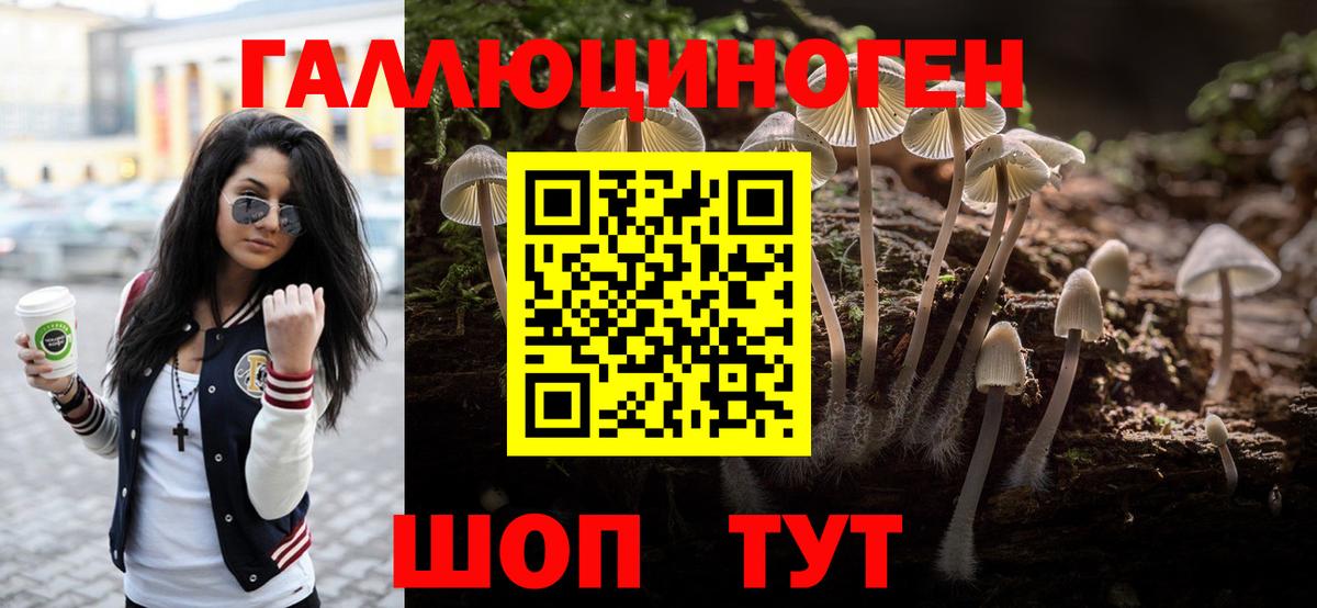 Галлюциногенные грибы Psilocybe  Галлюциногенные грибы Psilocybe  Вход с VPN  Жигулёвск 
