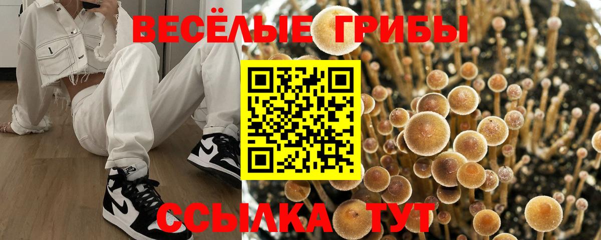 Псилоцибиновые грибы ЛСД Жигулёвск